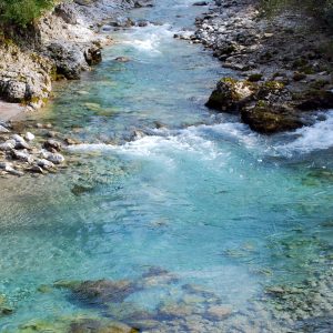 Stream of Consciousness